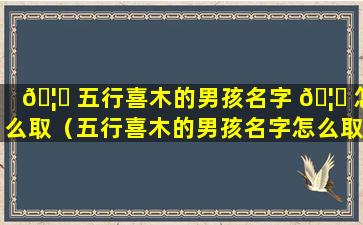 🦁 五行喜木的男孩名字 🦍 怎么取（五行喜木的男孩名字怎么取好听）